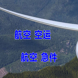陇南成县机场物流快递-选东方航空和上海航空
